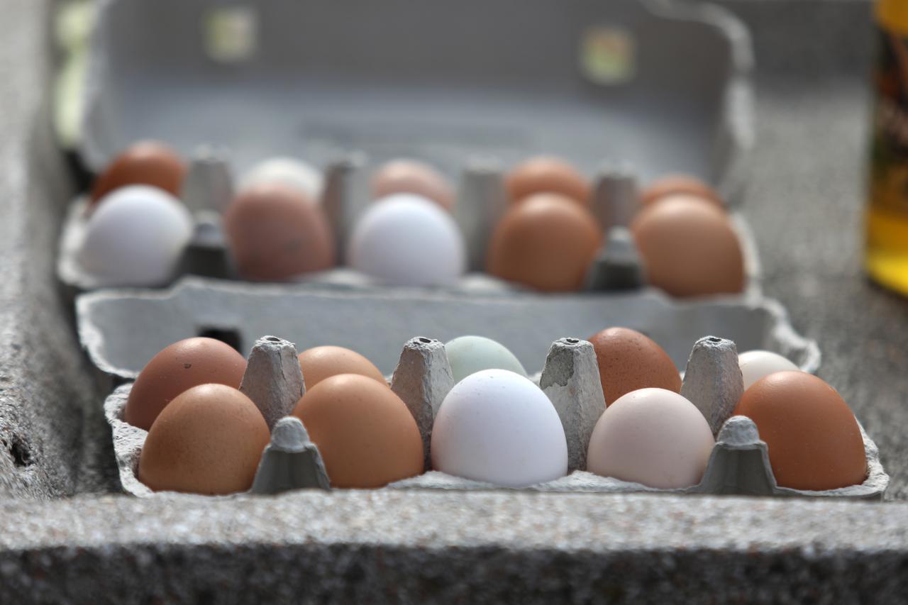 Šibenik: Cijena jaja uoči Uskrsa od 2.30 do 3.10 eura za deset komada