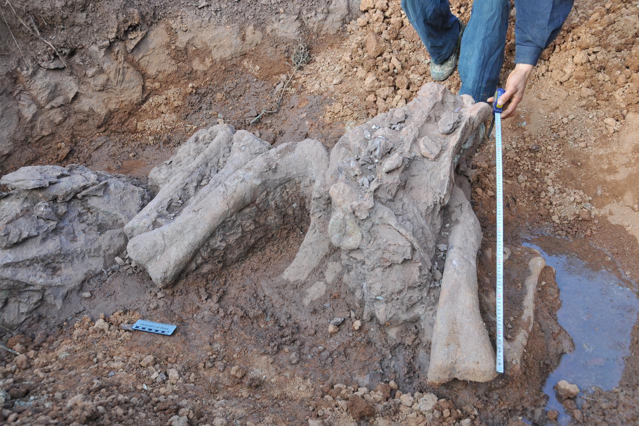 Kina: Arheolozi pronašli fosil dinosaura Lufengosaurusa starog oko 180 milijuna godina
