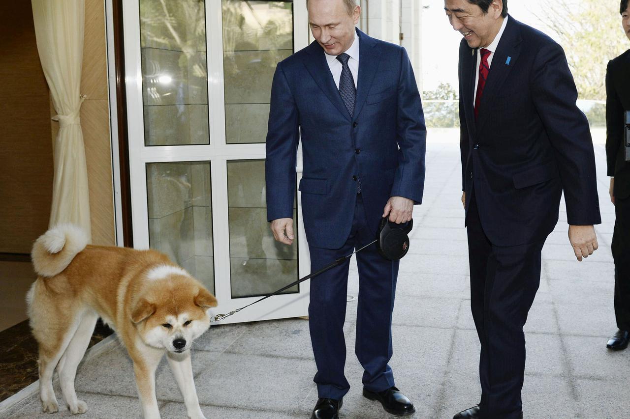 Russian President Vladimir Putin and his dog named Yume, which was presented to Putin by Japan's northern Akita Prefecture in July 2012, welcome Japanese Prime Minister Shinzo Abe upon Abe's arrival for their meeting in Sochi, Russia, in this photo taken 