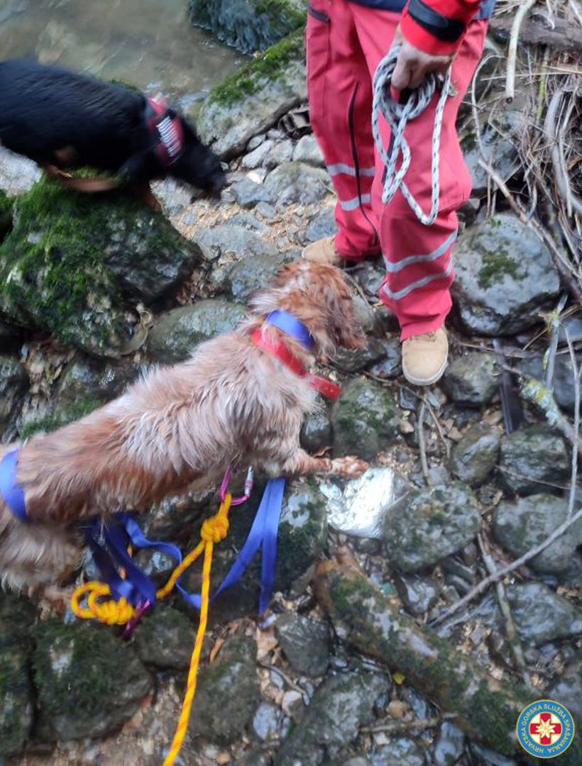 Pripadnici HGSS-a spustili su se u kanjon kako bi izvukli psa, no zbog teškog terena i dolaska noći akciju su prebacili na utorak.