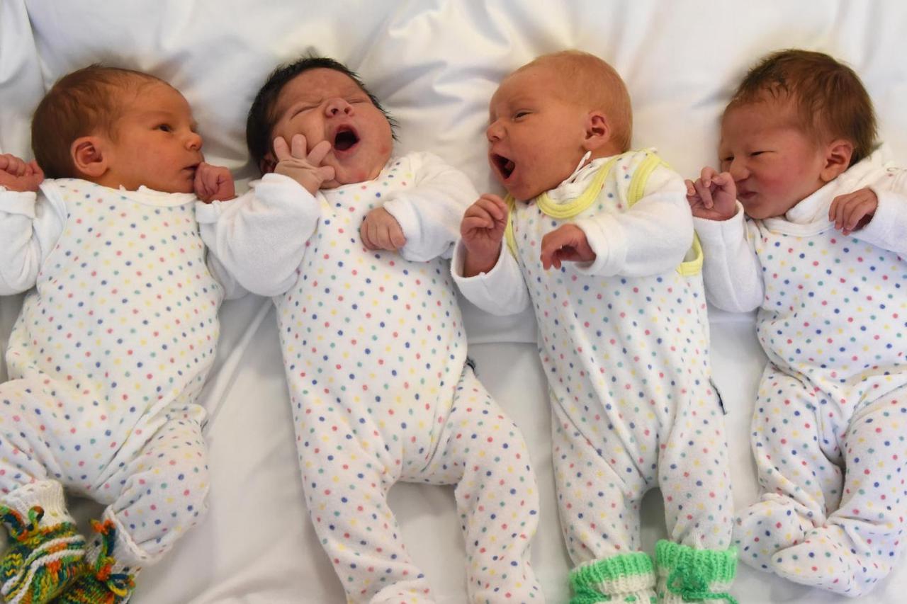 Birth boom at St. Elisabeth hospital in Leipzig