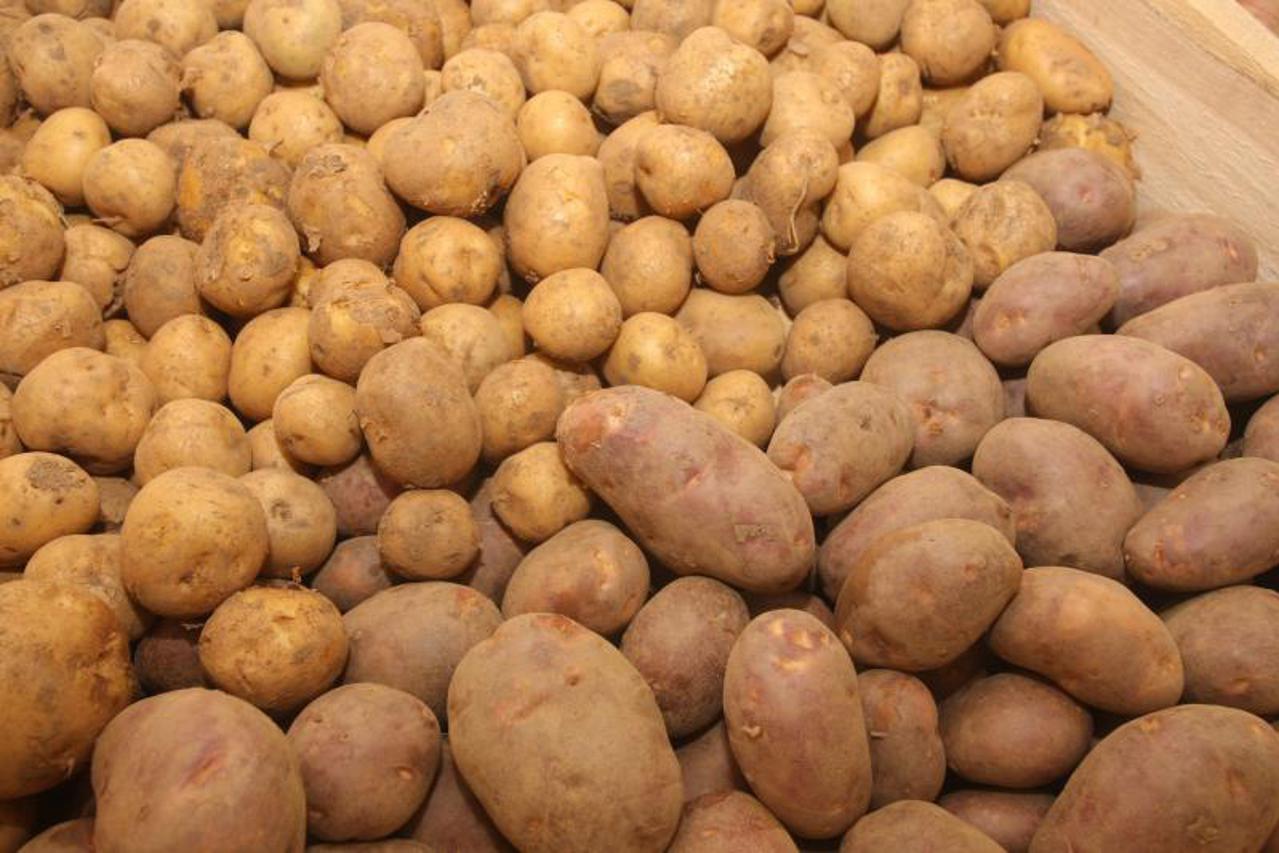 Lički krumpir