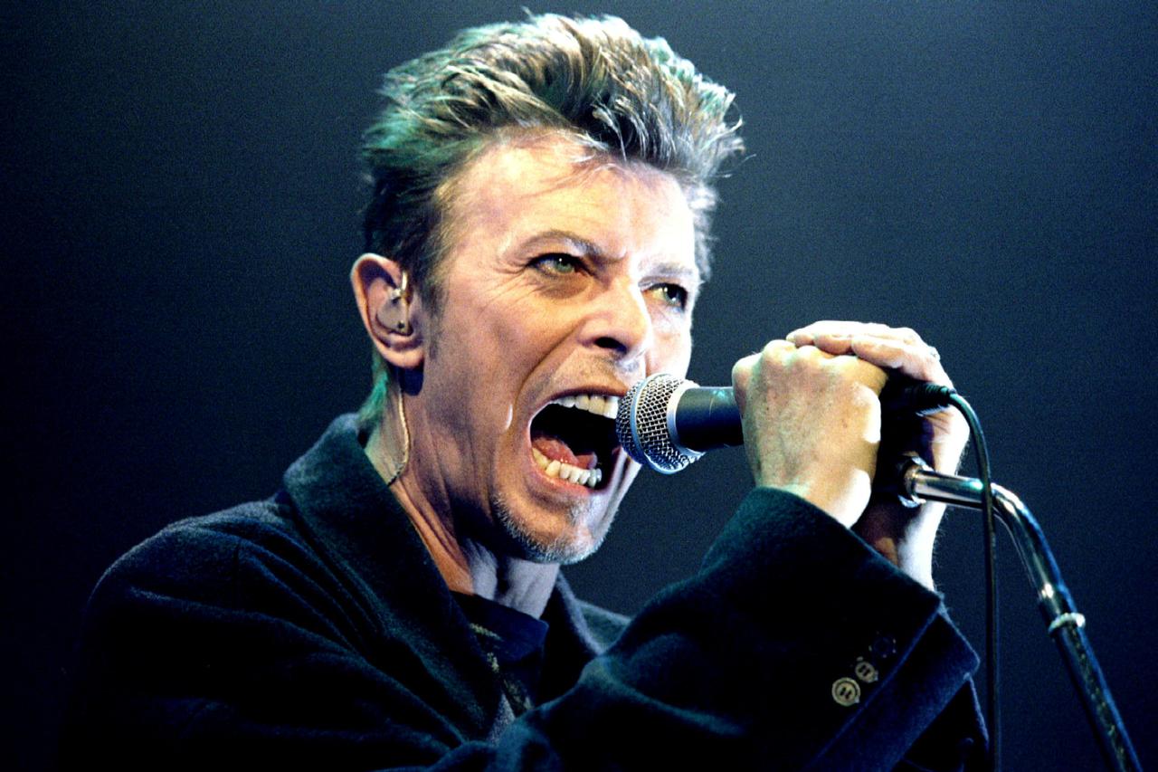 FILE PHOTO: British Pop Star David Bowie screams into the microphone as he performs on stage during his concert in Vienna
