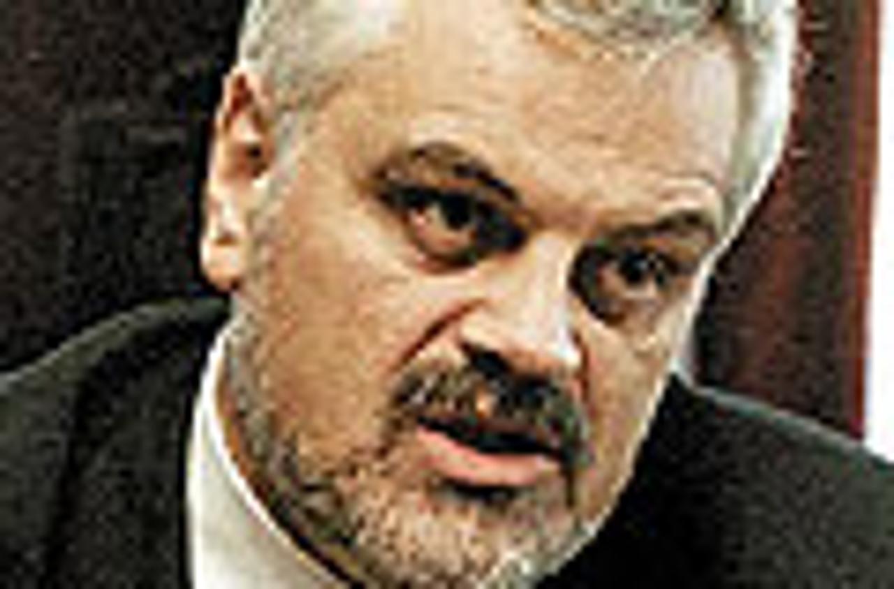 Vojislav Stanimirović (SDSS)