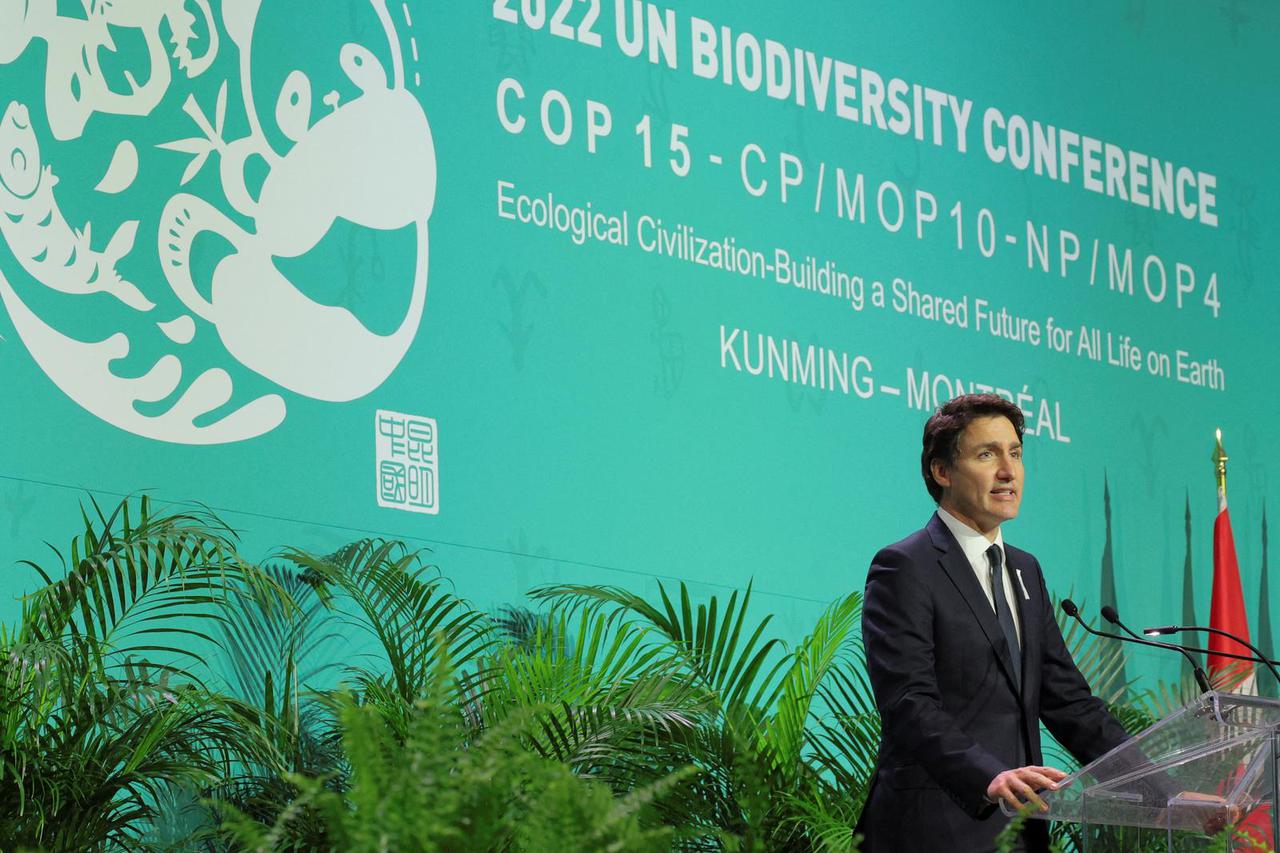 COP15, the two-week U.N. Biodiversity summit in Montreal