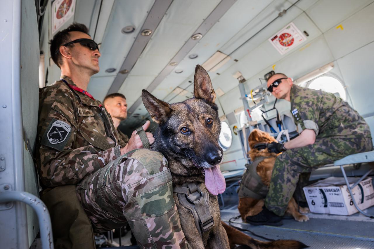 Divulje: Ocjenjivanje i završni prikaz pasa u sklopu održavanja NATO Foruma radnih pasa vojne policije