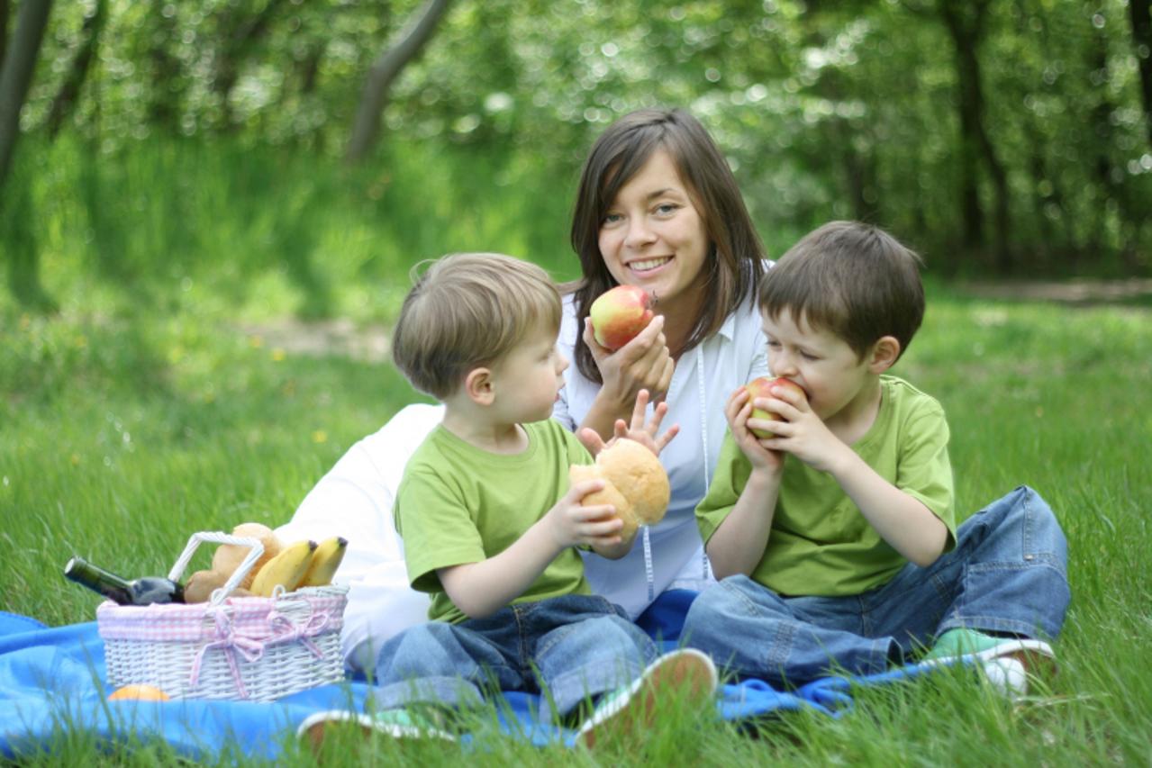 'family picnic'