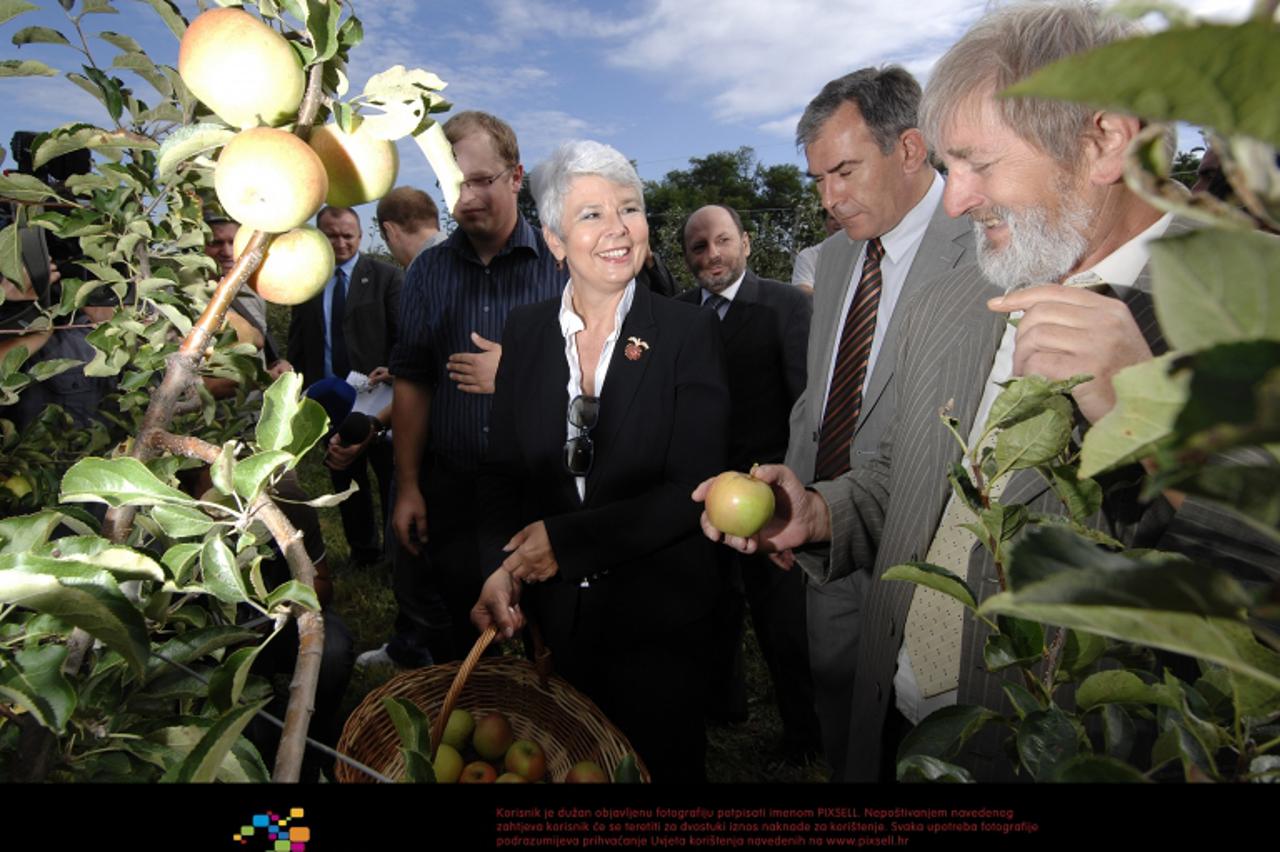 '06.09.2011.,Mursko Sredisce - Premijerka Jadranka Kosor u braniteljskom vocnjaku brala je jabuke. Photo: Vjeran Zganec-Rogulja/PIXSELL'