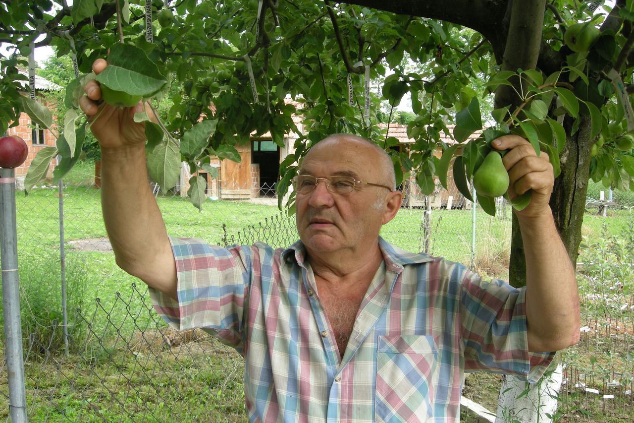Pavao Kovačić         
