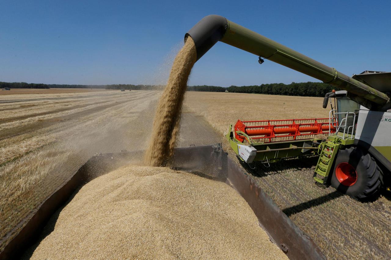 FILE PHOTO: Combine harvester loads truck with barley in field in Kiev region