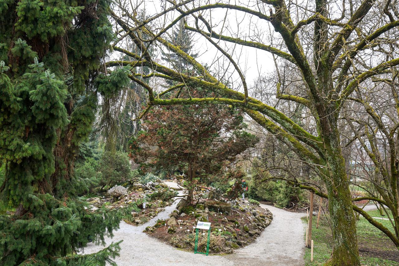 Zagreb: U Botaničkom vrtu nakon 130 godina za posjetitelje otvoren Alpinum