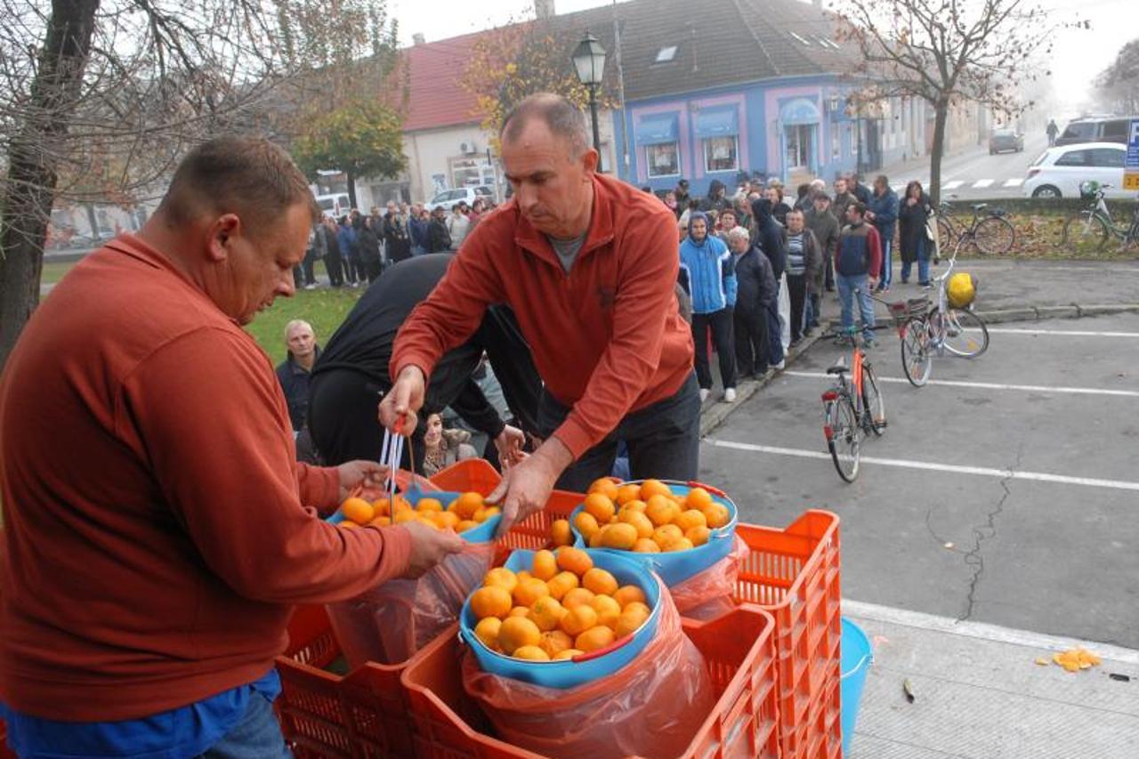 Neretvanske mandarine u Bjelovaru 