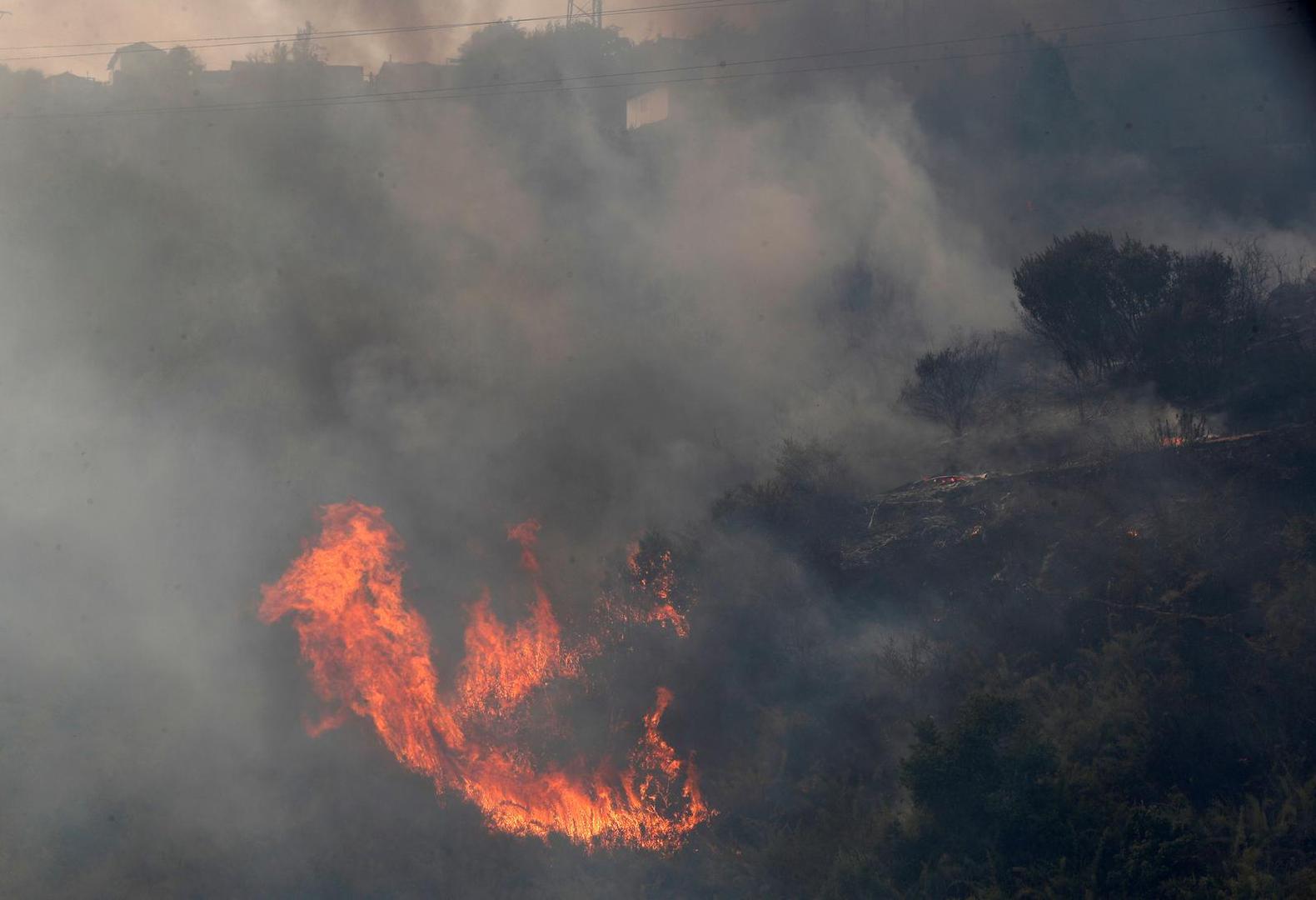 Trees burn amid the spread of wildfires in Vina del Mar, Chile February 3, 2024. REUTERS/Rodrigo Garrido Photo: RODRIGO GARRIDO/REUTERS