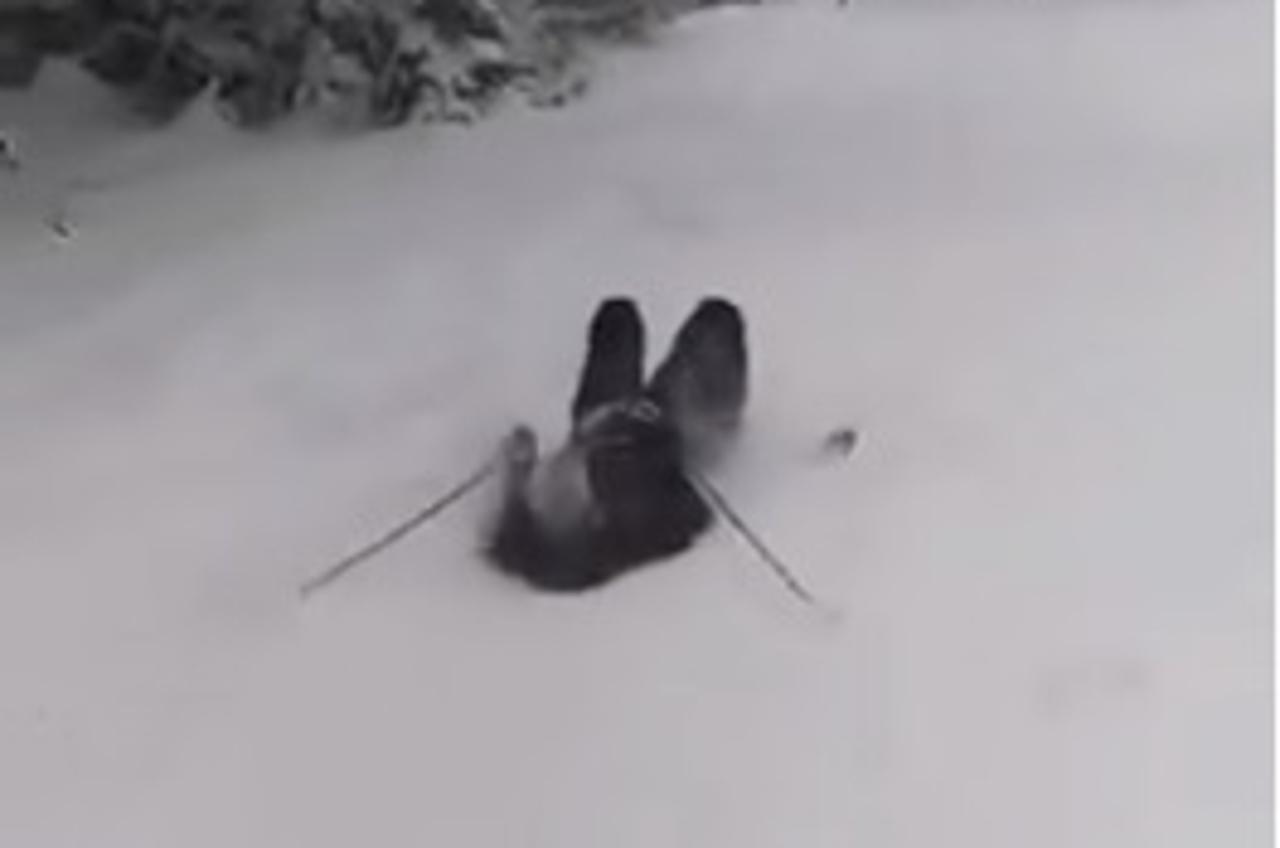 Dalmatinac na skijanju