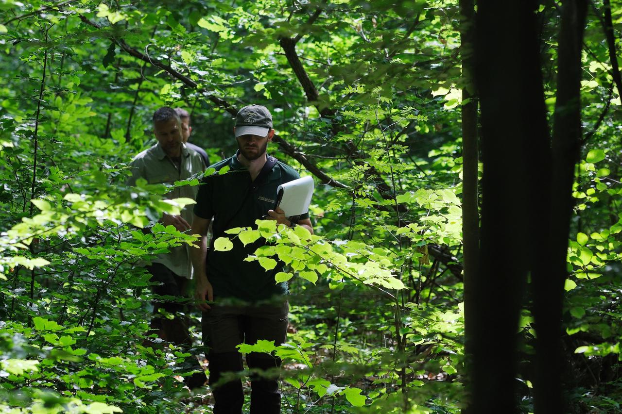 Germany's forest condition experts trained in Thuringia