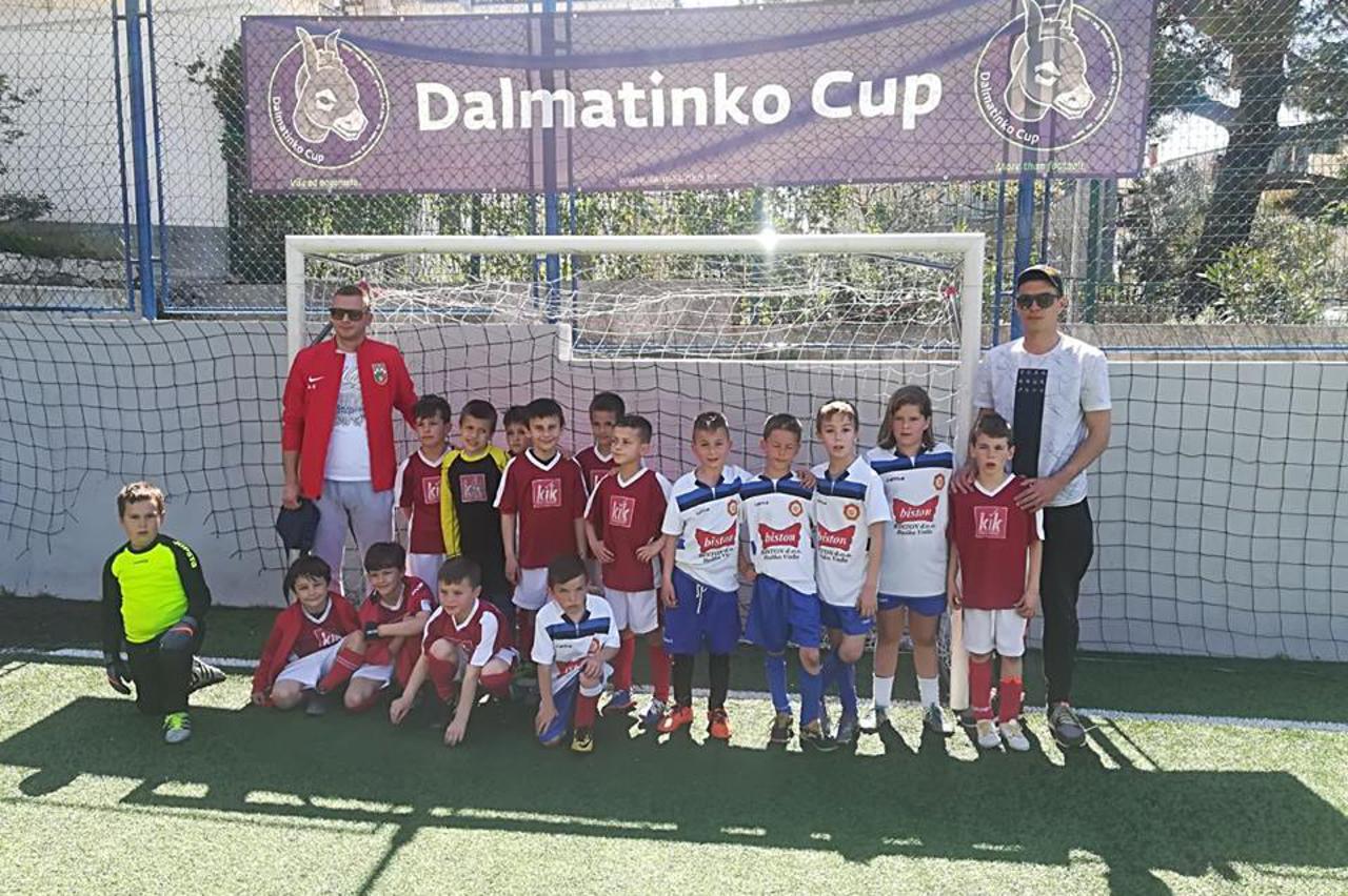 Dalmatinko Cup