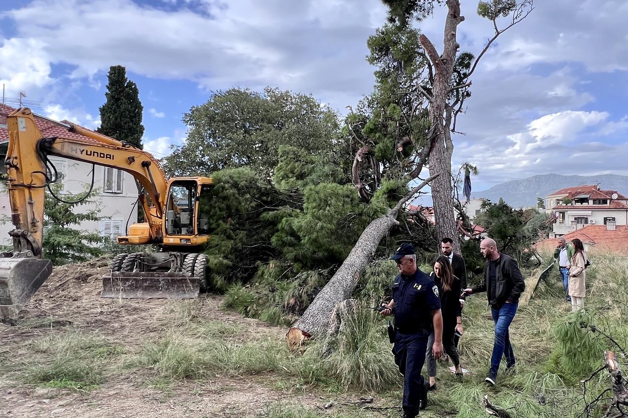 Split: Zbog posječenih stabala na Gripe stigla policija