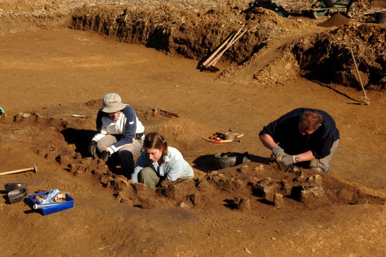 Arheološko nalazište u Alilovcima (1)