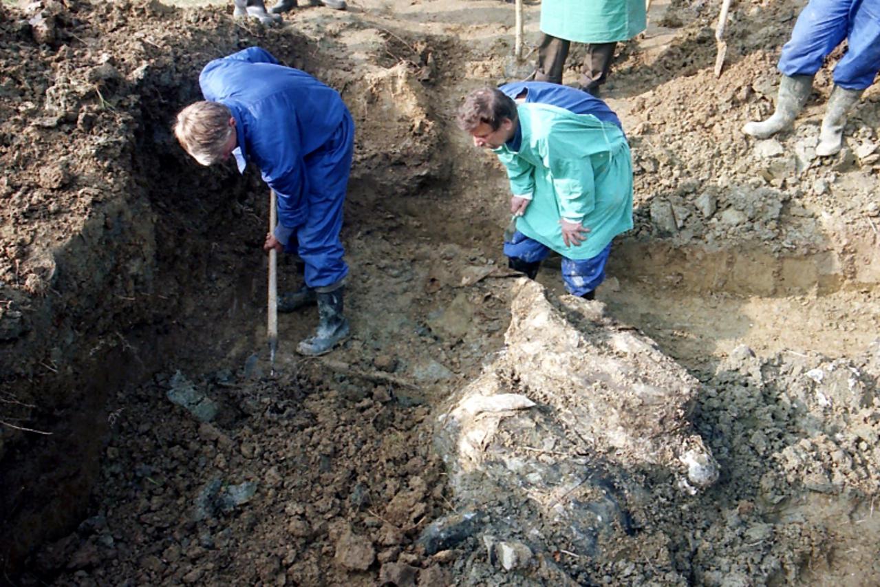\'20.10.2010., Bacin - Iz masovne grobnice u ozujku 1997.godine eshumirani su posmrtni ostaci 56 ubijenih Hrvata 1991.godine. Photo:Nikola Cutuk/PIXSELL\'