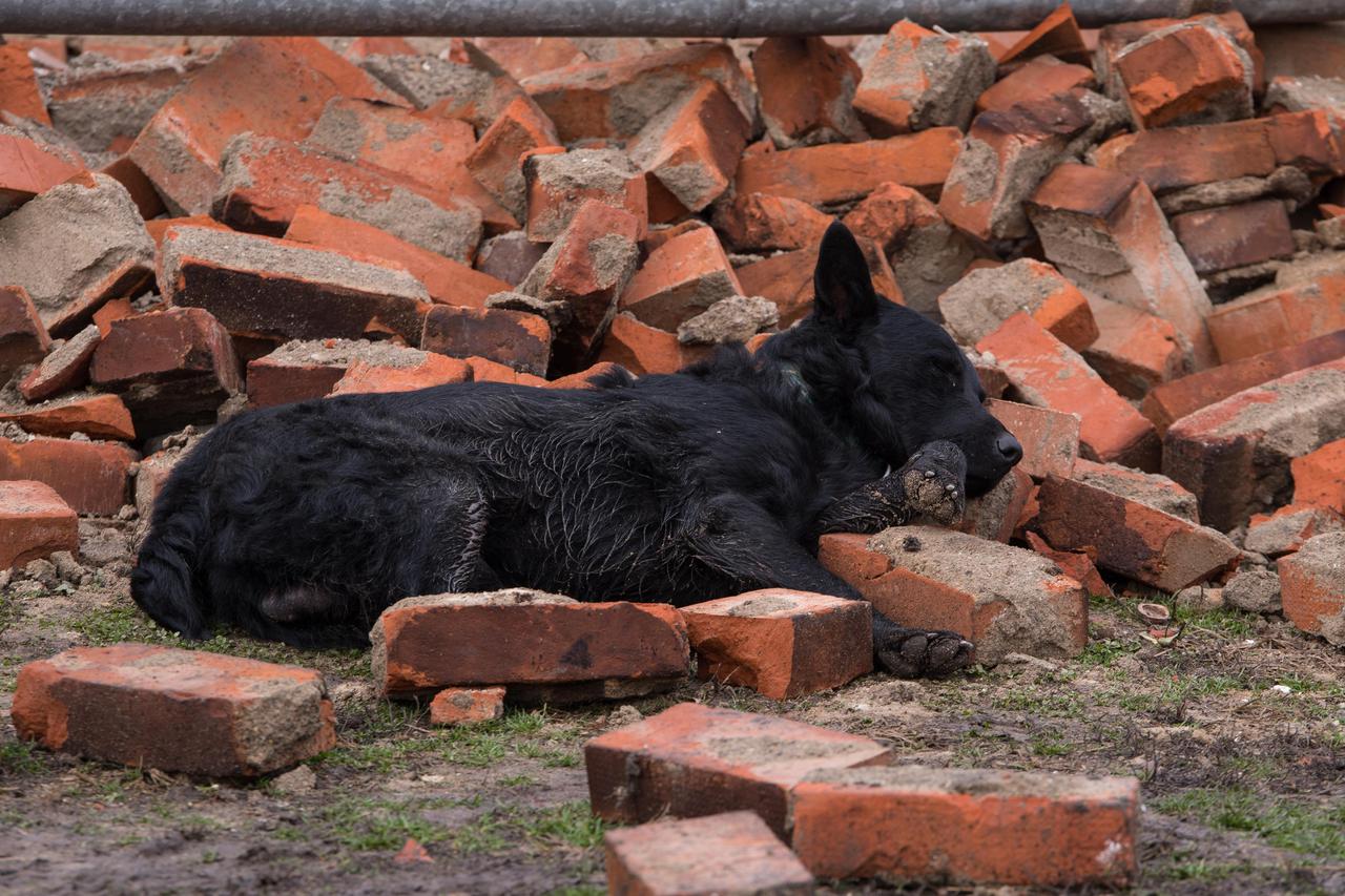 Reportaža iz okolice Gline nakon jučerašnjeg potresa