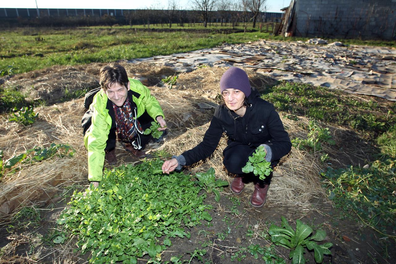  Velika Gorica - Sanja Dosen i Gordana Muraja obradjuju zemlju u vrt koju su dobili na koristenje