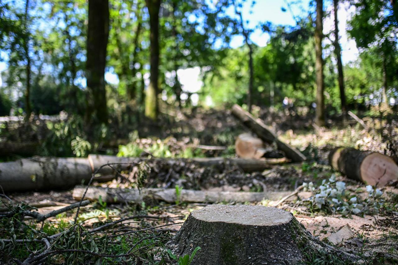 Olujno nevrijeme uništilo Park mladenaca u Zagrebu, srušena stabla još nisu uklonjena
