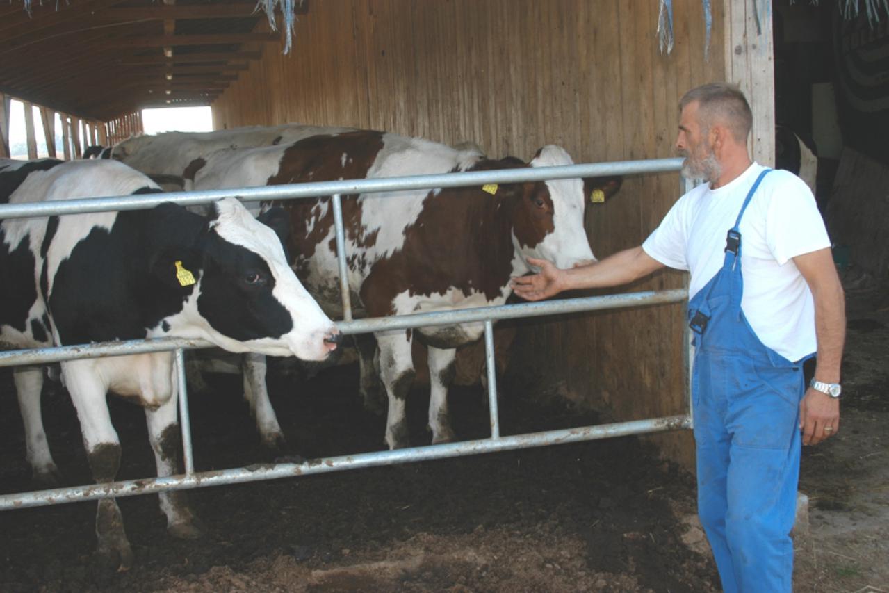 'podravina, bjelovar, krave, 29.09.09. mladen solcic prinudjen na rasprodaju krava snimio: Damir Spehar, Vecernji list'