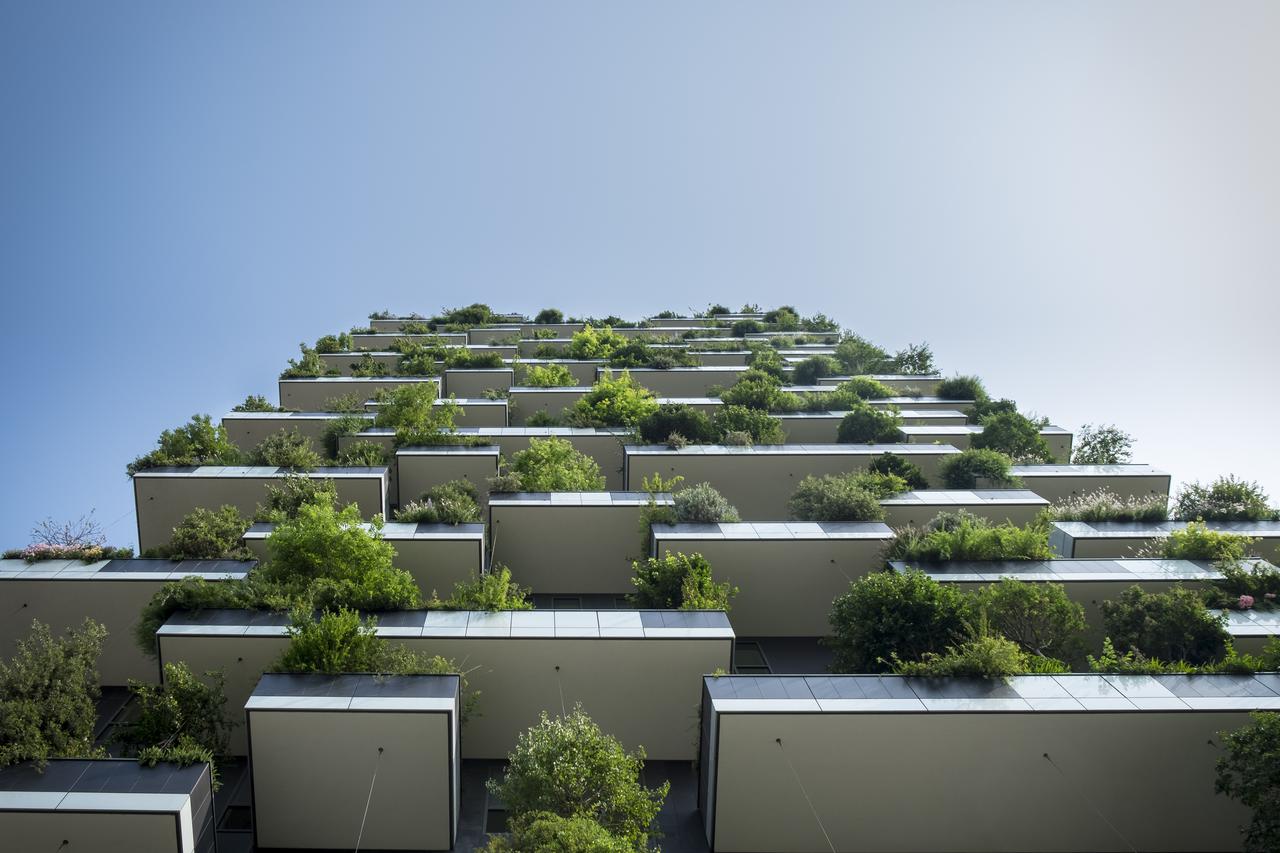 Zelena arhitektura
