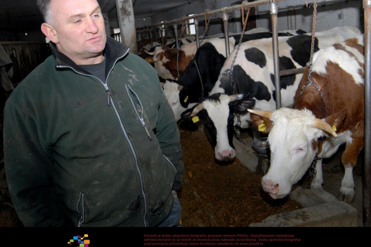 '28.02.2012., Babina Greda - Marko Mrkonjic iz Babine grede ima farmu od 20 muznih krava i dnevno proizvodi 150 litara mlijeka. Unatoc teskoj situaciji u mljekarstvu planira kupiti jos 50-ak krava i p
