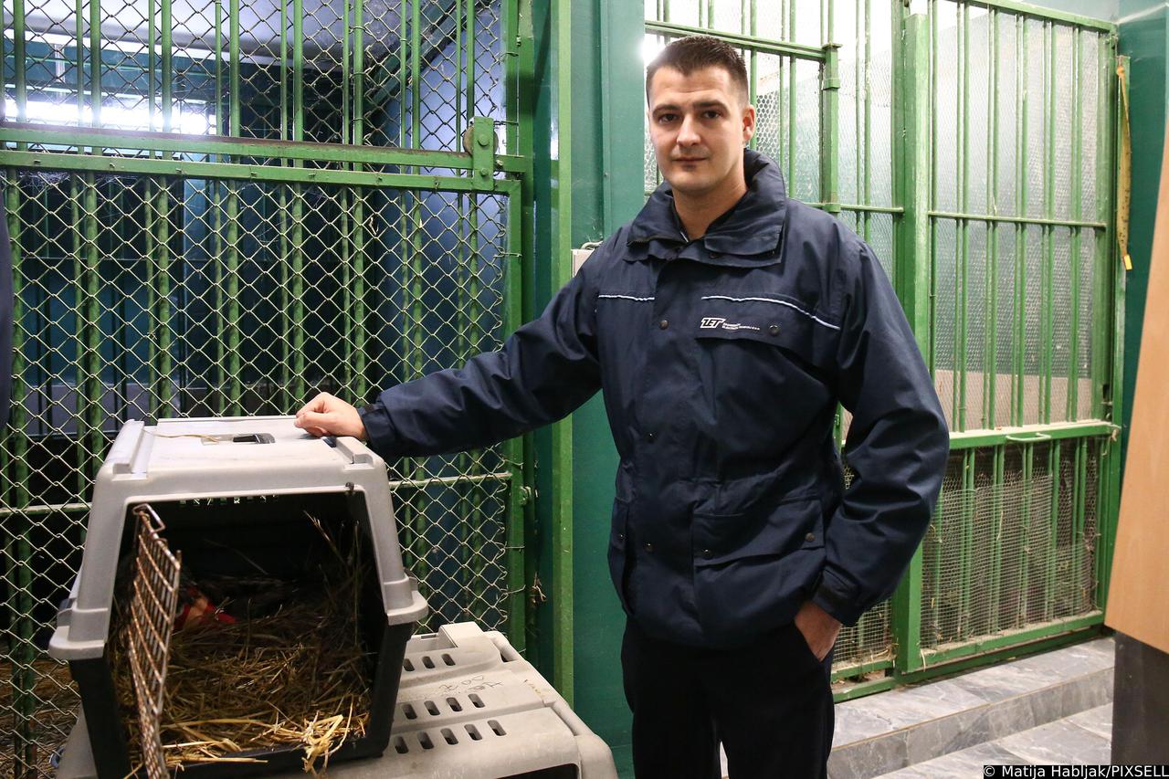 Vozač ZET-ovog autobusa  Dario Buzjak spasio sovu slomljenog krila