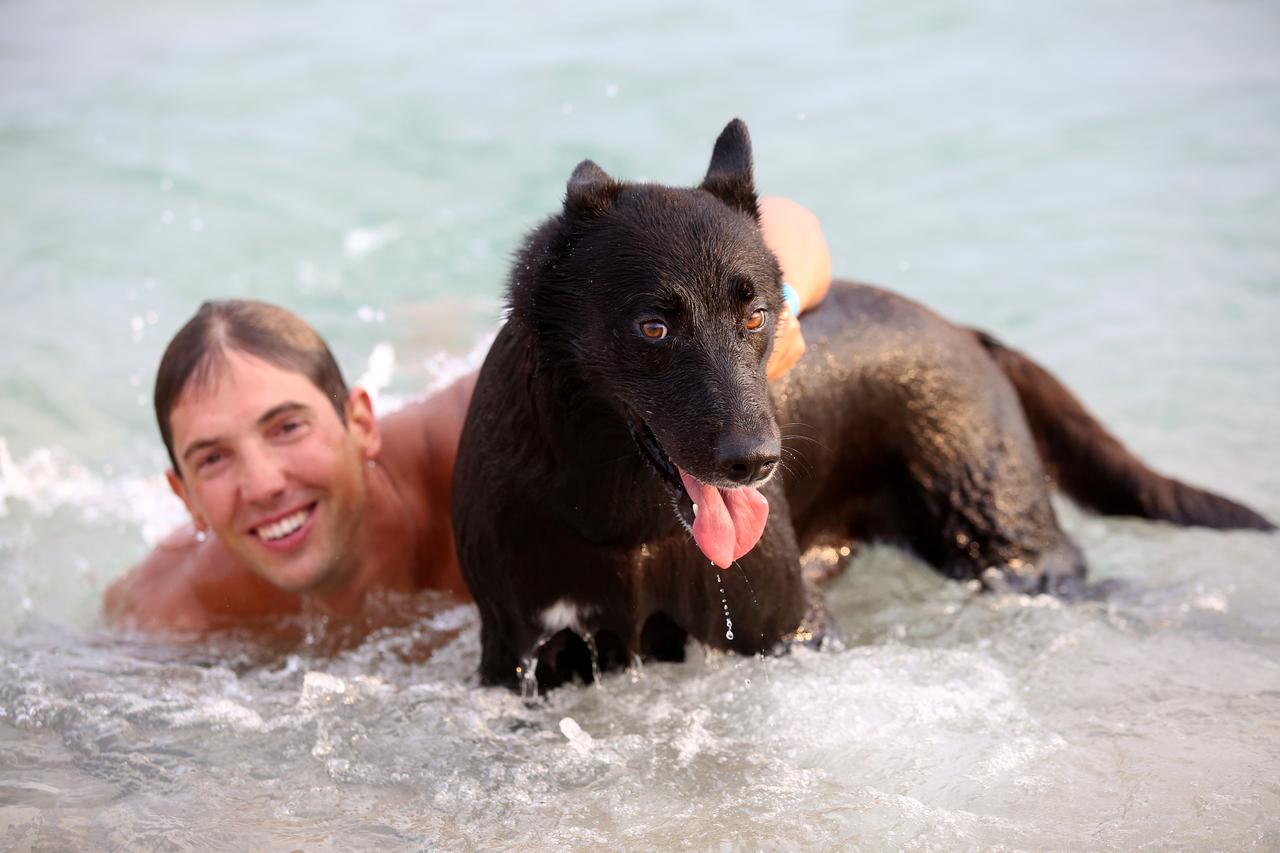 Crikvenica - plivačko natjecanje pasa i vlasnika