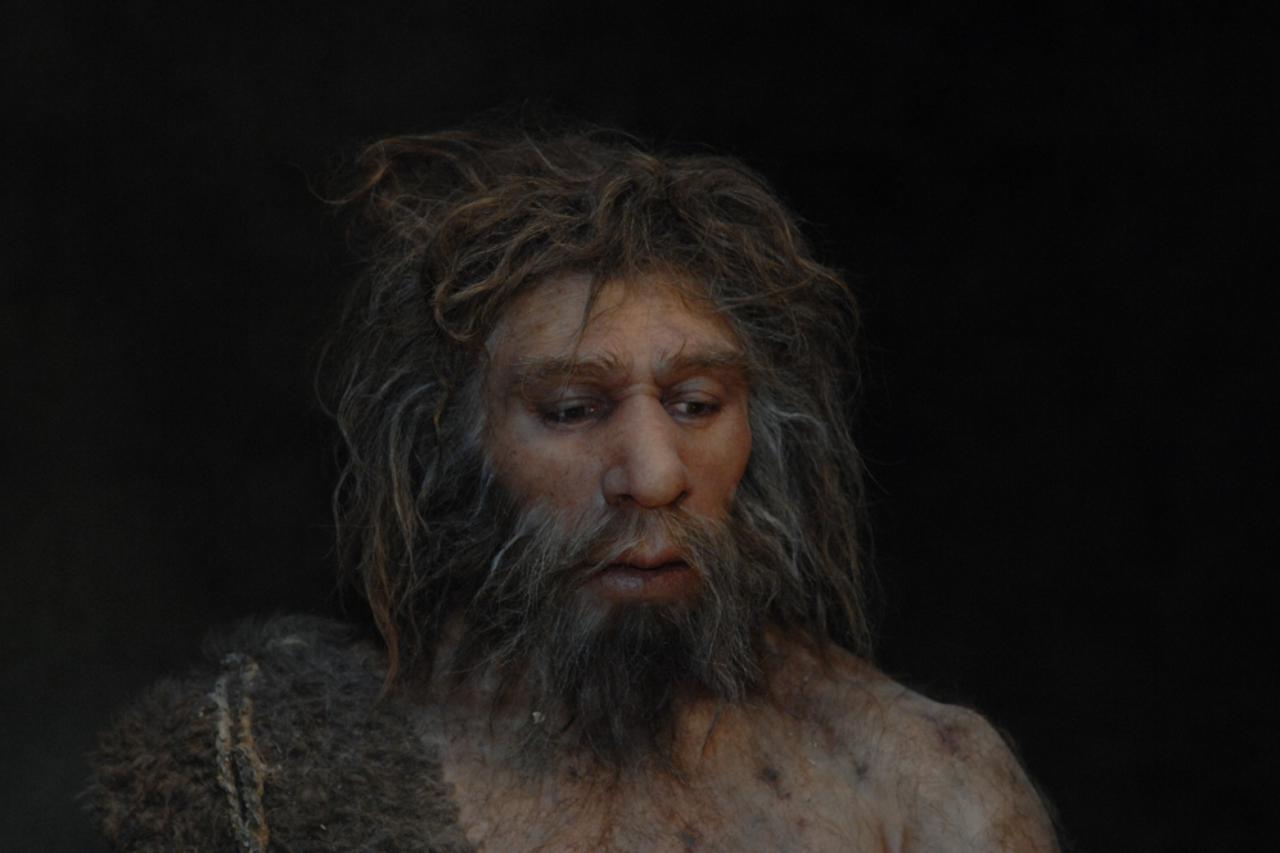 neandertalci (1)