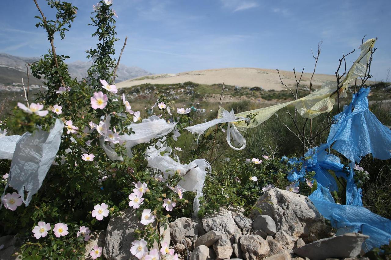 Split: Procvale biljke pored odlagališta otpada sa svakim vjetrom prekrivene najlonskim vrećicama
