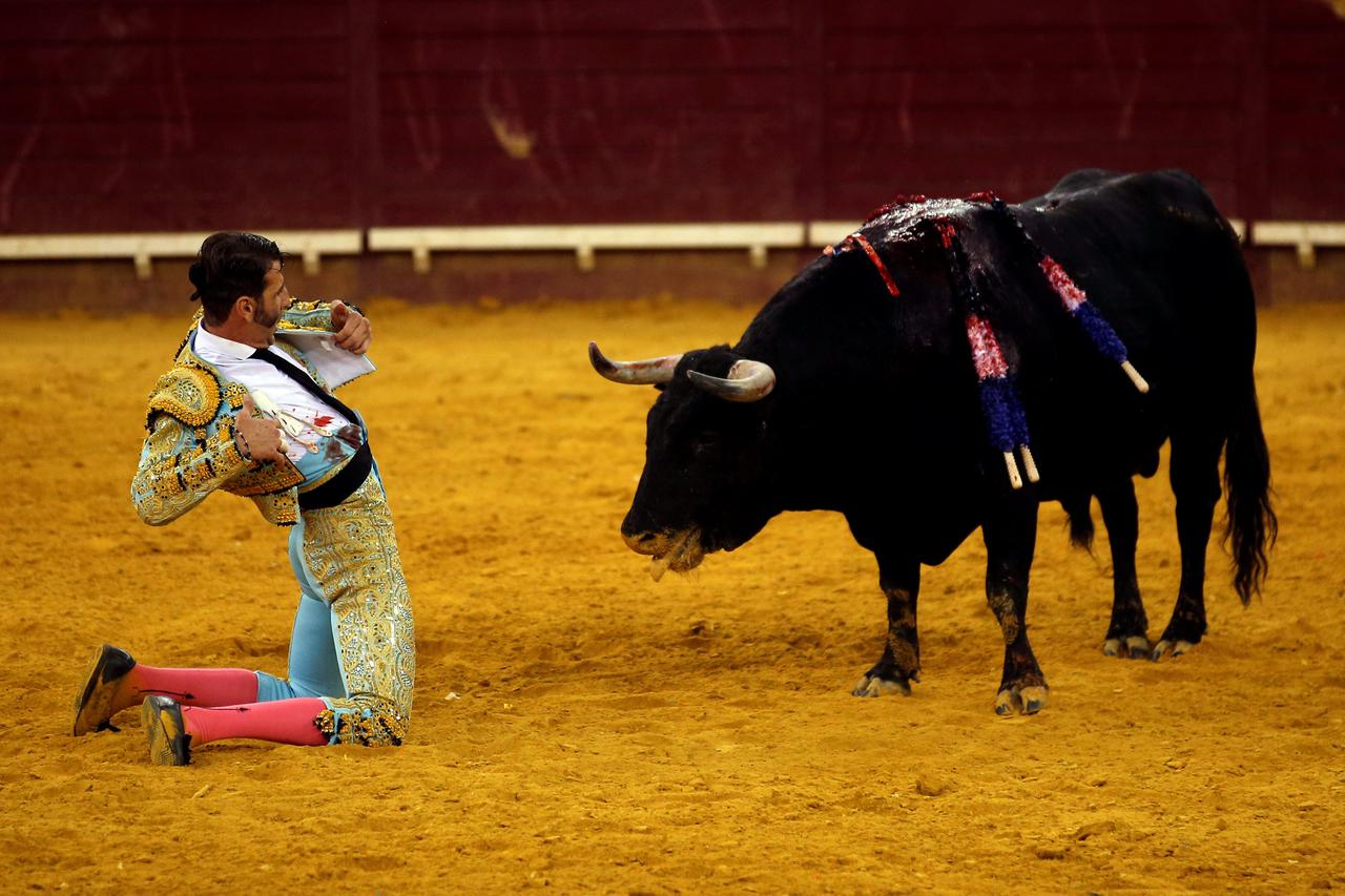 matador, bik, borba s bikovima