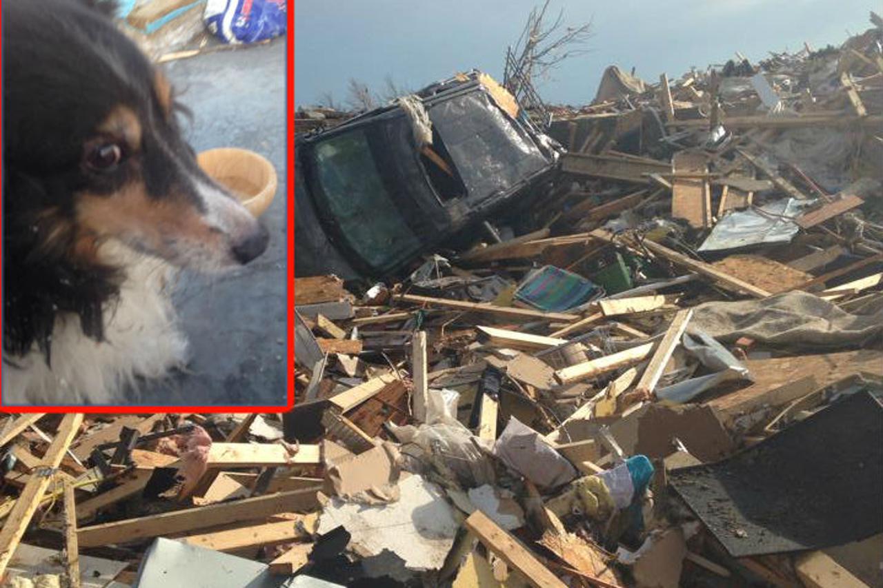 Nakon tornada pronašao živog psa pod ruševinama