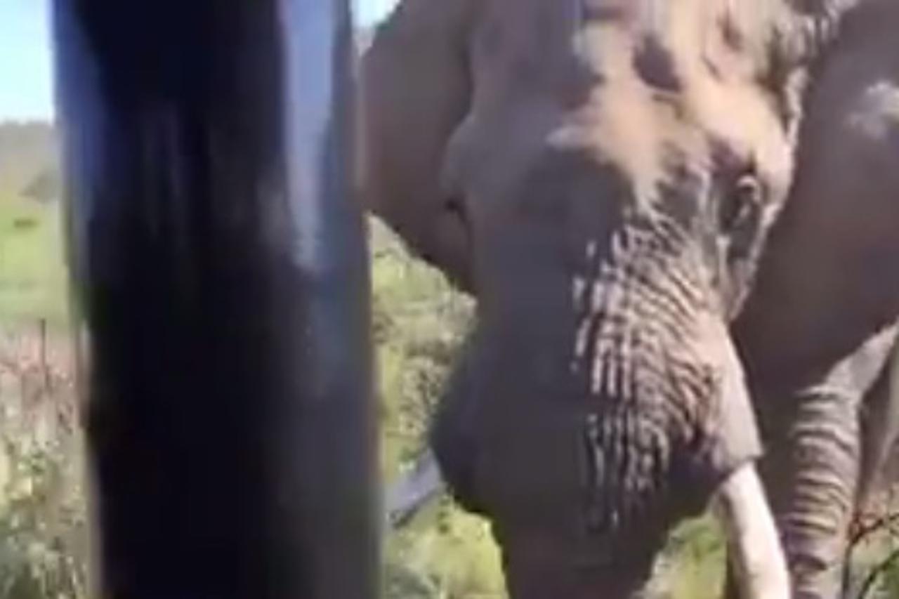 Napad slona 