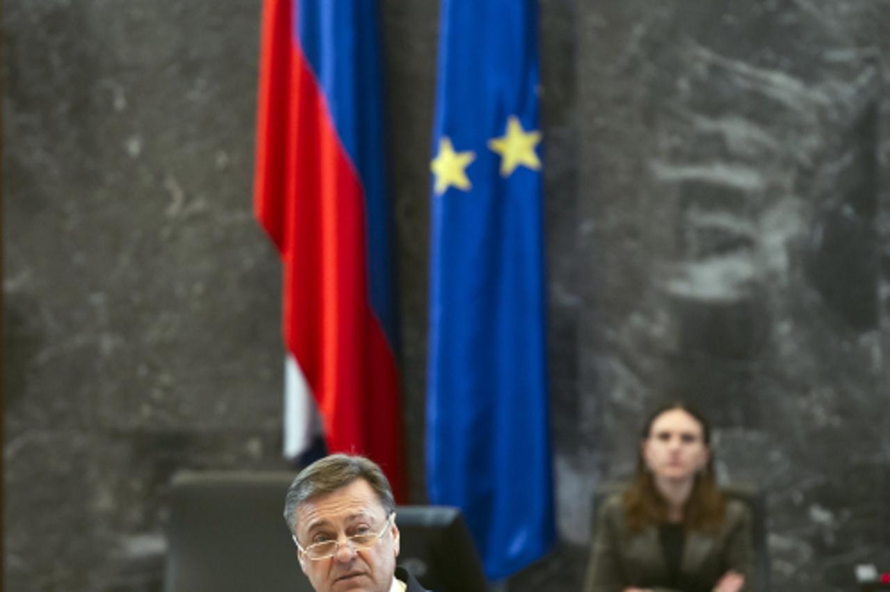 zoran janković, slovenski parlament (1)
