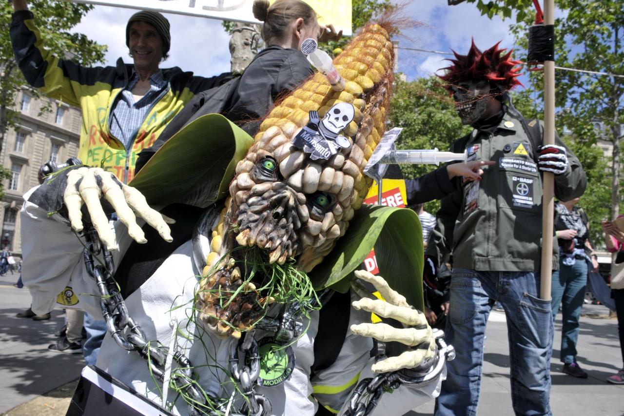Rally Against Monsanto and food and seeds that contain GMO - Paris