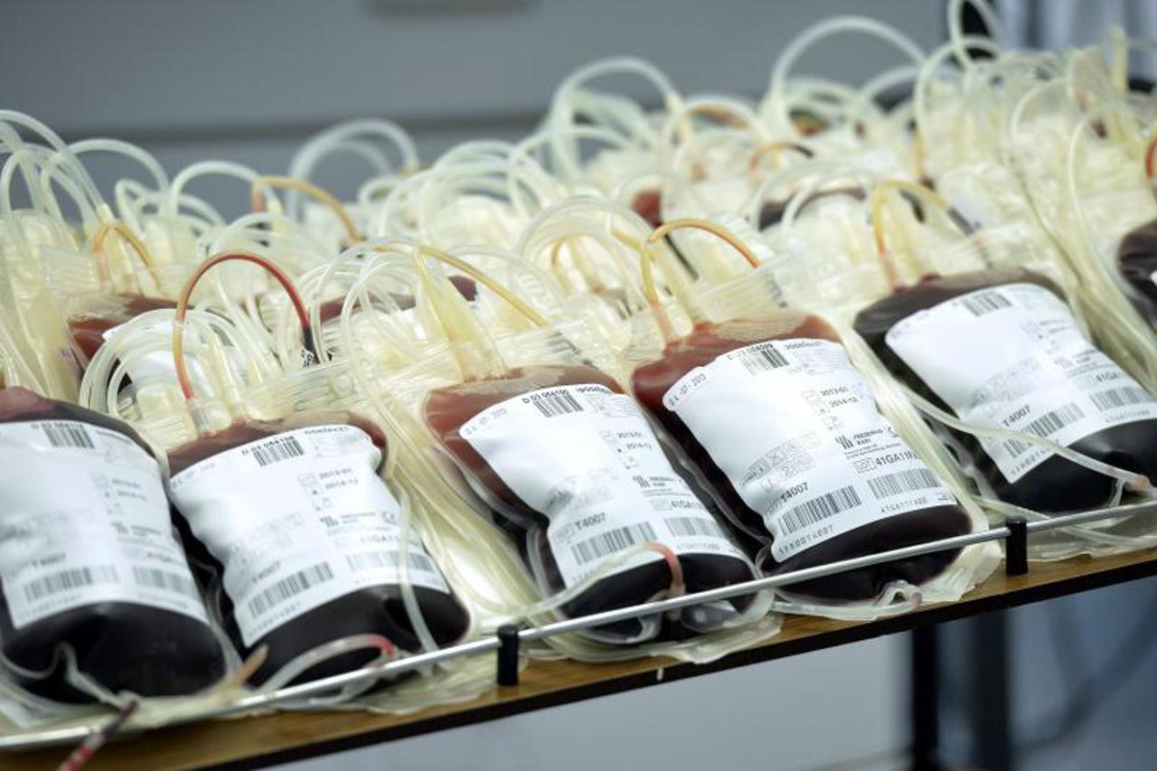 krv,transfuzija,portal