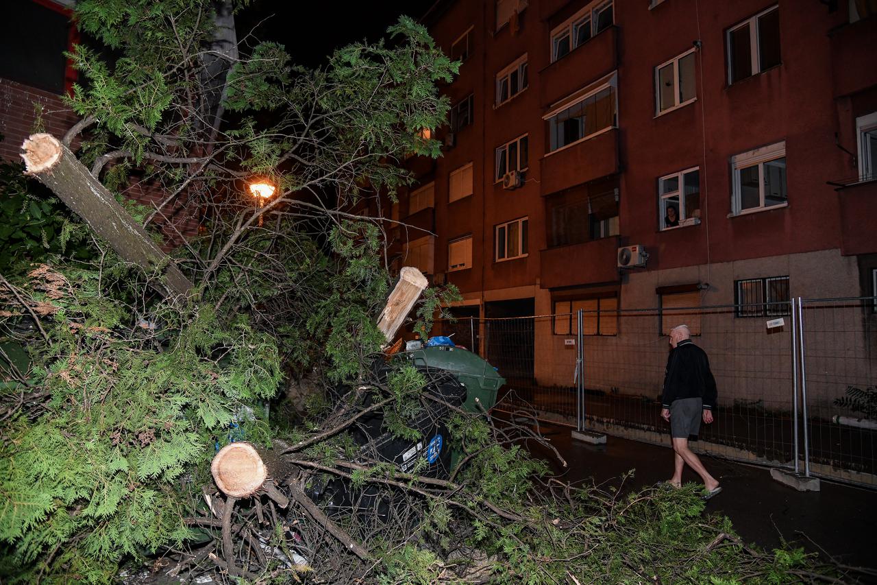 Zagreb: Jak vjetar srušio stablo u Savskoj, vatrogasci na terenu