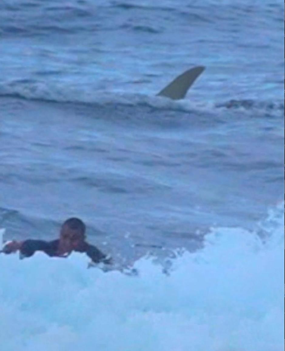 Drama u Portoriku: Surfer u posljednji tren uspio pobjeći morskom psu