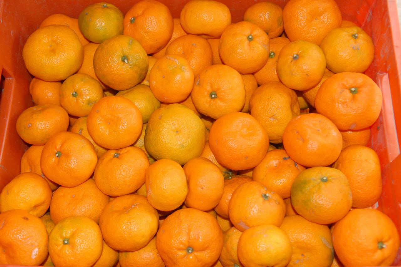 Bjelovarčani razgrabili mandarine