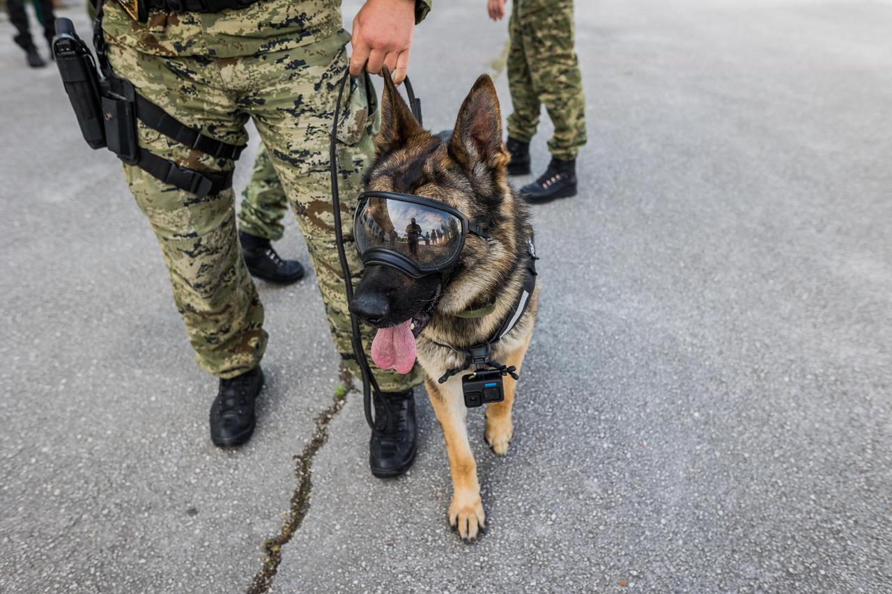Divulje: Ocjenjivanje i završni prikaz pasa u sklopu održavanja NATO Foruma radnih pasa vojne policije