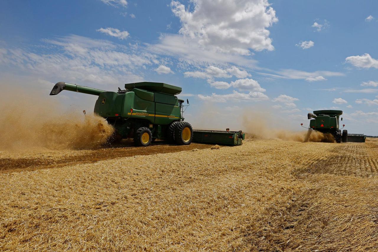 Wheat harvest in the Donetsk Region