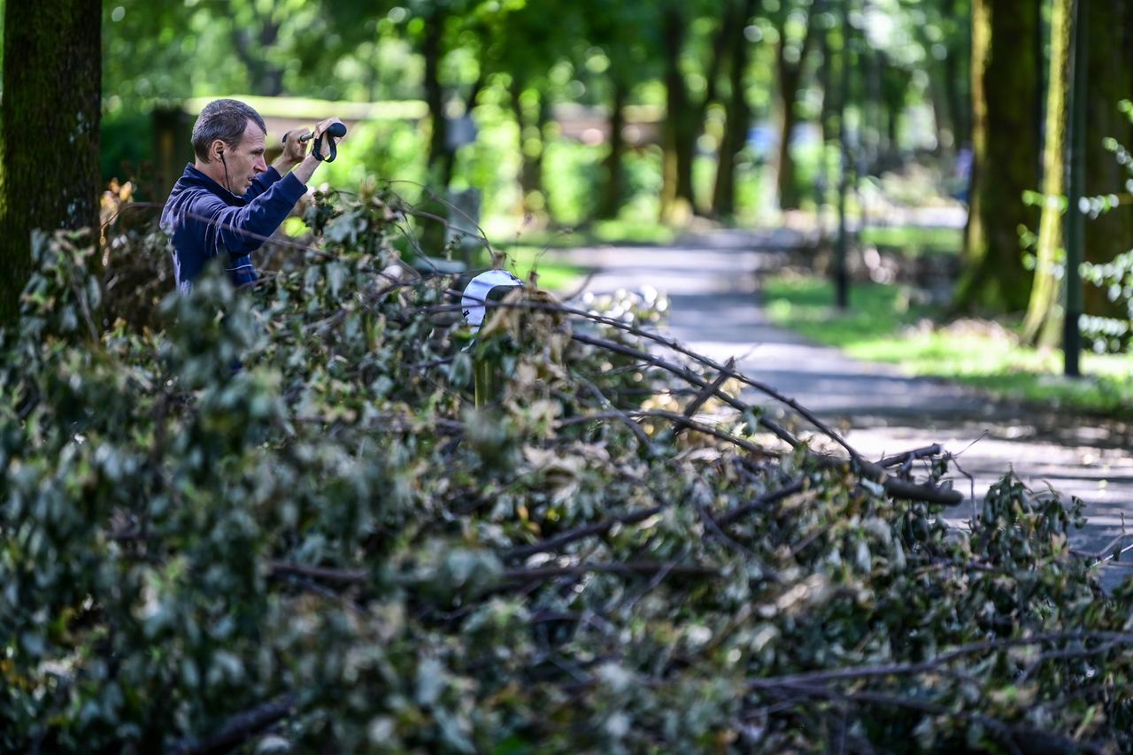 Olujno nevrijeme uništilo Park mladenaca u Zagrebu, srušena stabla još nisu uklonjena
