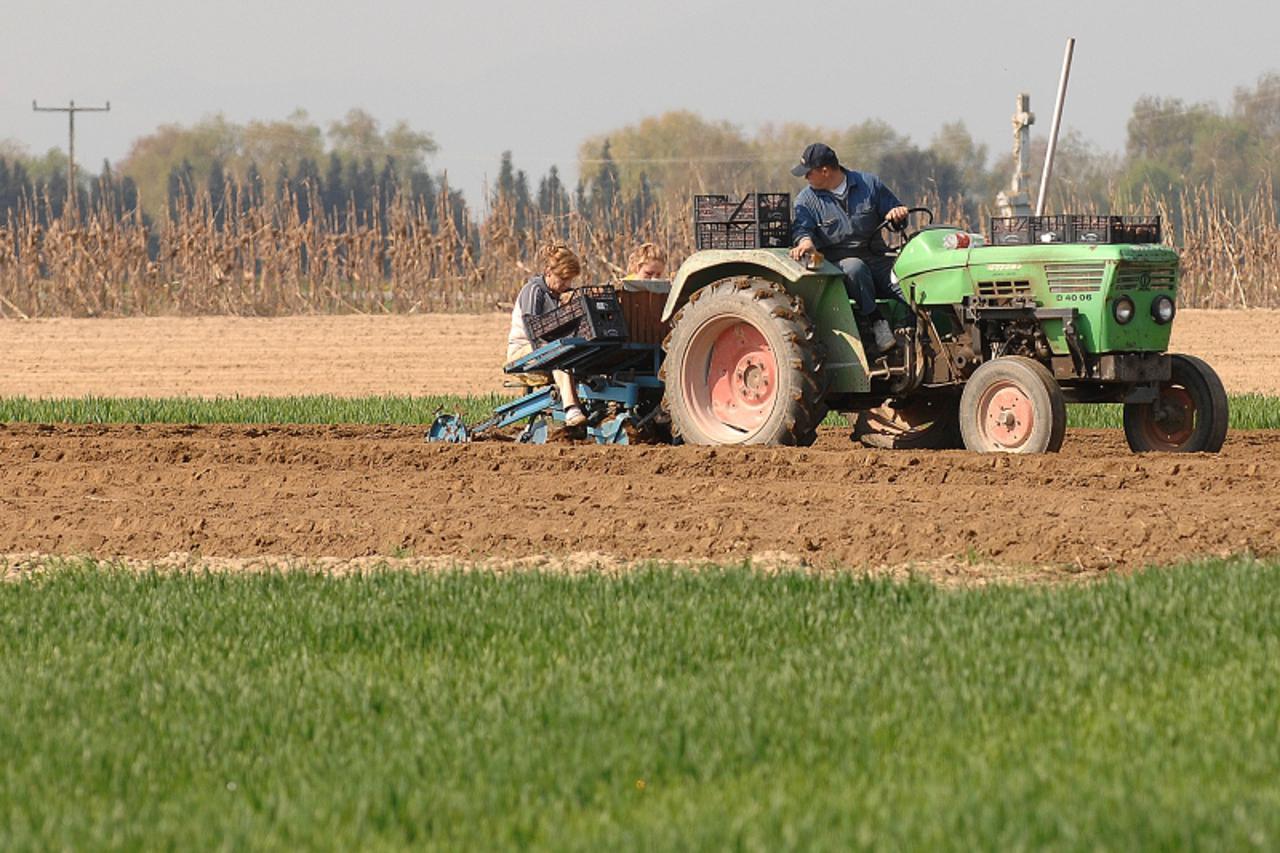 '20.04.2010., Belica- Sezonska sadnja. Poljoprivredni poticaji. ILUSTRACIJA. Photo: Vjeran Zganec-Rogulja/PIXSELL'