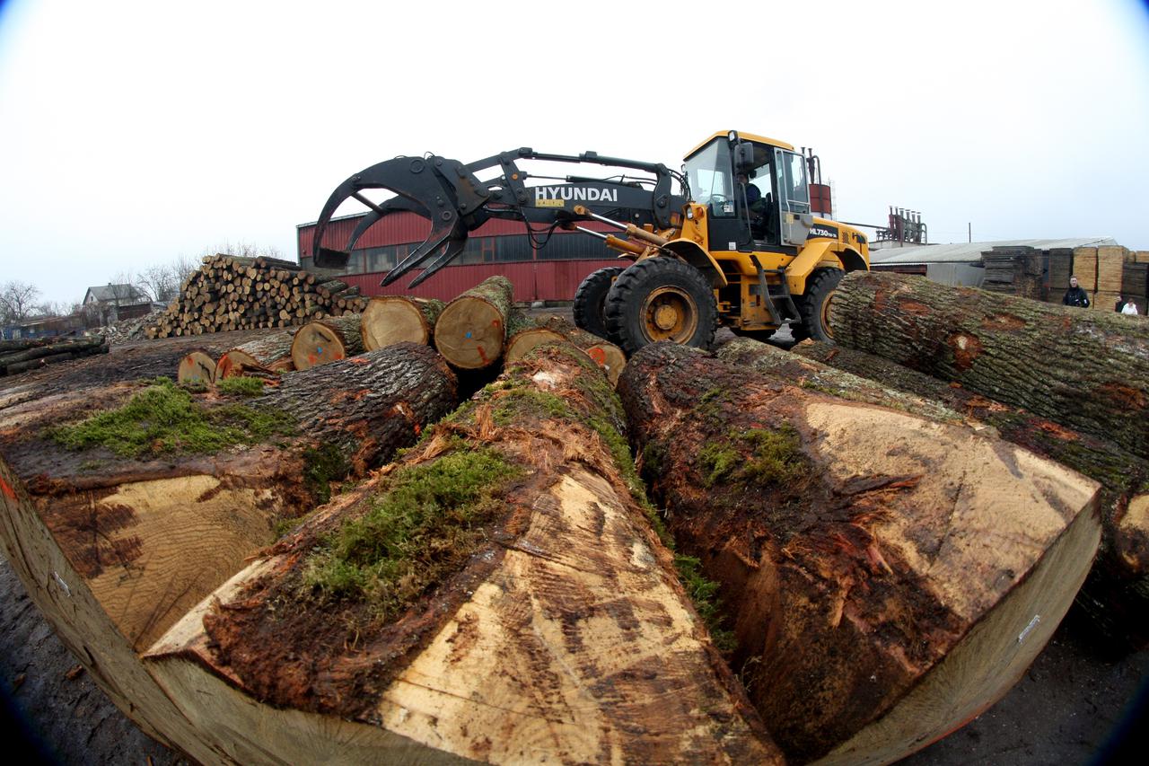 12.01.2011., Novska - Tvornica drvenog namjestaja Trokut d.d.  Photo: Boris Scitar/PIXSELL
