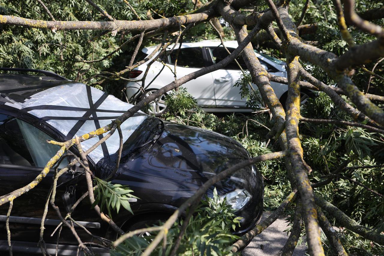 Zagreb: Na Zelenom trgu stablo je palo na 4 automobila