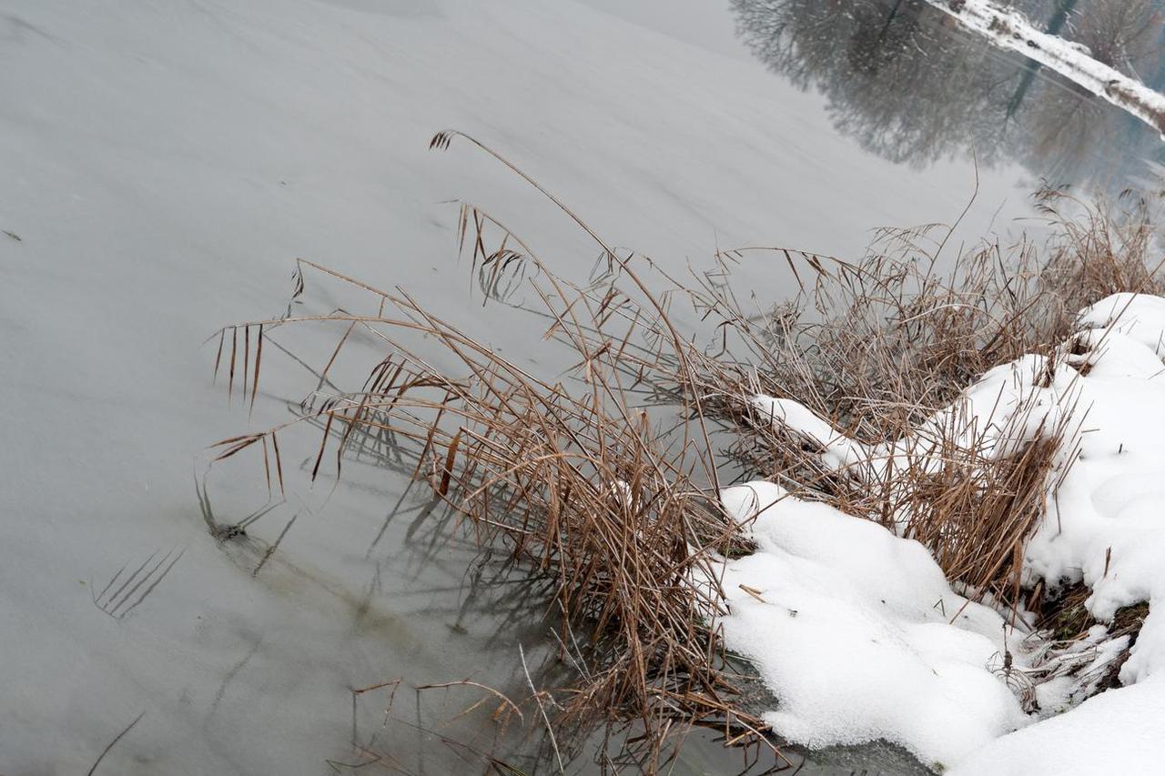 Jastrebarsko: Priroda prekrivena snijegom i ledom u orintološkom rezervatu Crna Mlaka