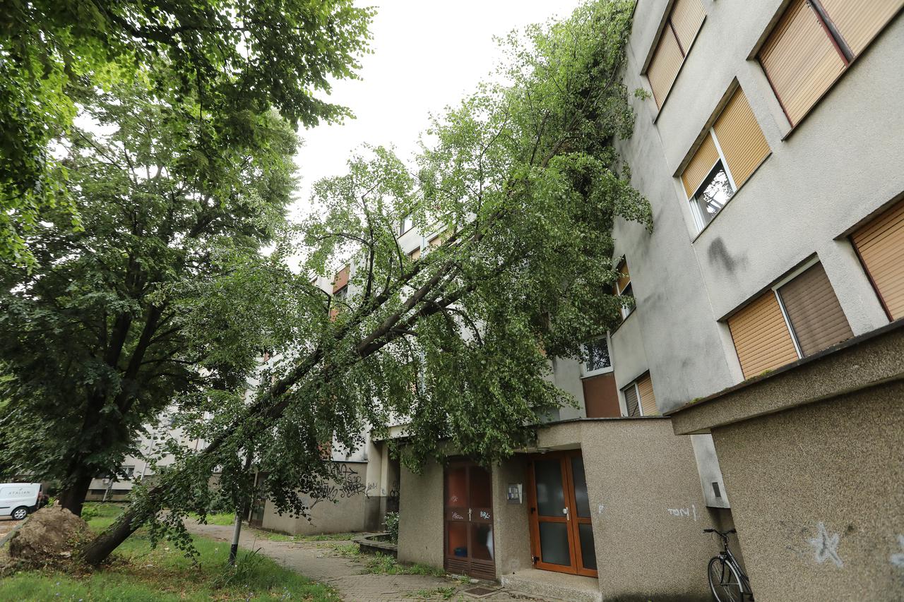 Zagreb: Stablo iščupano tijekom nevremena stoji naslonjeno na stambenu zgradu